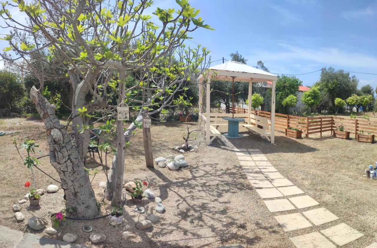 Studio Astero Pefki المظهر الخارجي الصورة